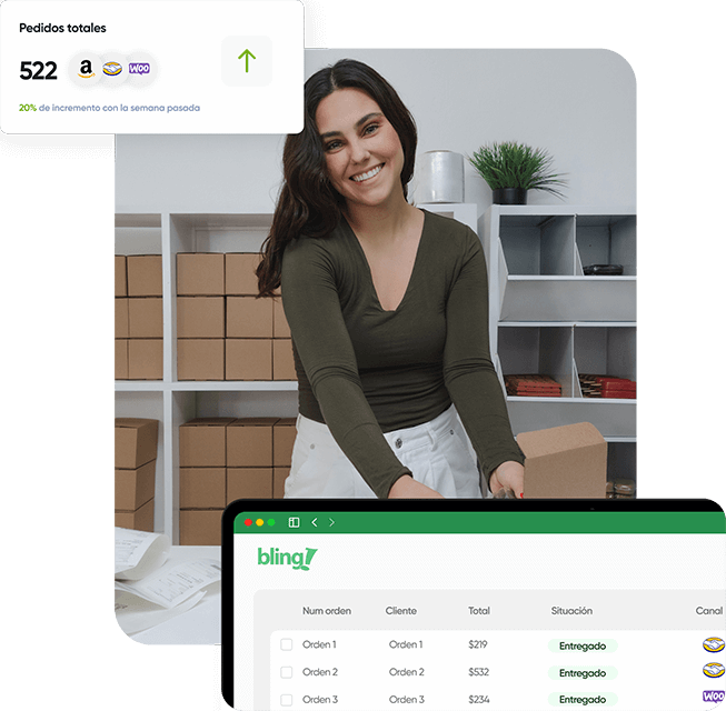 Bling: sistema definitivo para gestionar tus ventas multicanal
